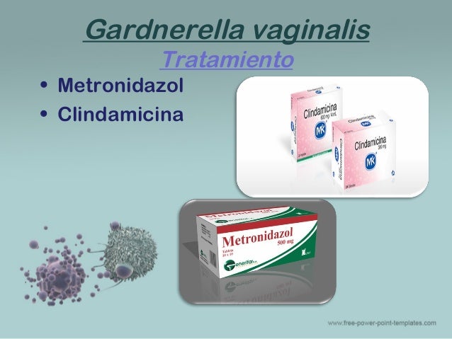 gardnerella tratamiento